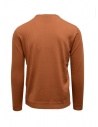 Goes Botanical bronze long sleeve sweater shop online men s knitwear